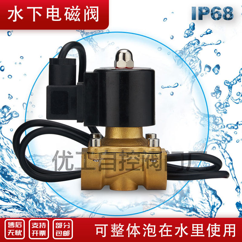 Normally closed underwater special fountain waterproof solenoid valve water valve buried electric control valve 2A154 points 1 inch 220v24