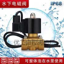 Normally closed underwater special fountain waterproof solenoid valve water valve buried electric control valve 2A154 points 1 inch 220v24