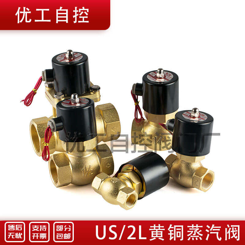 All copper high temperature resistant steam solenoid valve control electric valve 2L US 15 20 25 32 40 50 220V24V