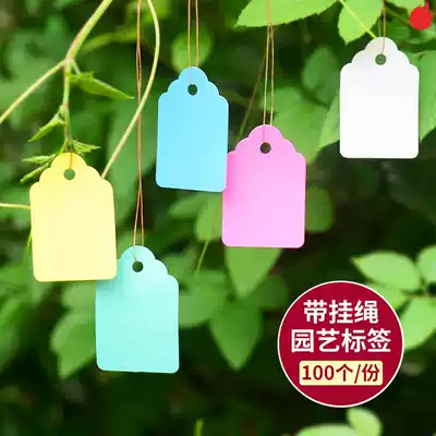 Fleshy flower seed greenhouse experiment label tag tag seedling Fruit Forest sign board 100 waterproof sheet