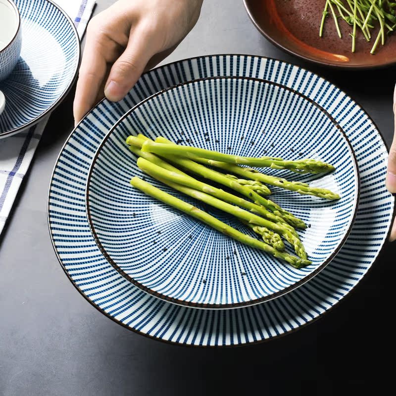 NDP Japanese and wind combination suit dishes household retro bowl dish dish plate under glaze color porcelain tableware