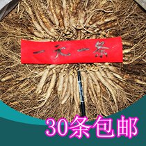 Fresh ginseng Changbai Mountain soak wine ginseng wild ginseng chicken soup northeast specialty Jilin with soil fresh ginseng seedling hot pot