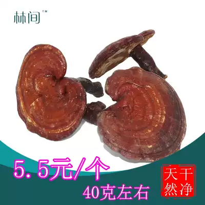 (Forest-Ganoderma lucidum)Changbai Mountain wood ganoderma lucidum Northeast purple Ganoderma lucidum pruning Nyingchi soup brewing wine tonic