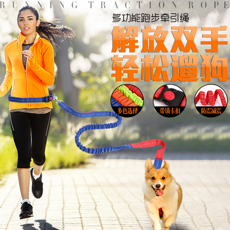Pet Supplies Running Traction Rope Elastic walking dog ropes Outdoor hanging waist Dog necklace Waist Golden Hair Sammoye Pooyer
