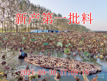Display: Qiao Xiaojiangfang from October 2021 to May 2022 lotus root starch material diagram High quality 500g