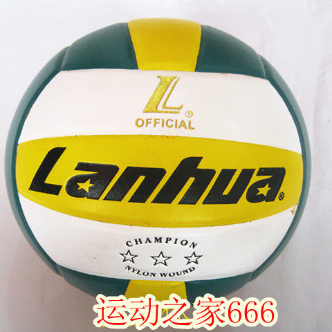 Ballon de volley-ball - Ref 2016020 Image 4