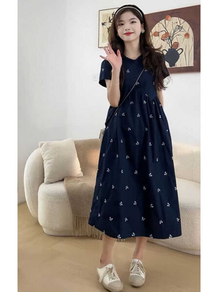 Maternity Wear Summer Loose-Fitting Age-Reducing Embroidered Dress 2026 New Style Petite High-Waisted Slimming Mid-Length Dress — 2