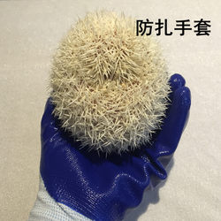 ອາຟຣິກກາ mini hedgehog, hamster, rabbit, ຕ້ານ pinch, ຕ້ານການກັດ, ຖົງມືຕ້ານການຂູດຂີດສໍາລັບມືໃຫມ່ຜູ້ທີ່ພຽງແຕ່ຕ້ອງການອຸປະກອນສັດລ້ຽງ