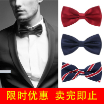 British Korean version of mens groom and groom wedding suit dress shirt solid color wine red black bow tie