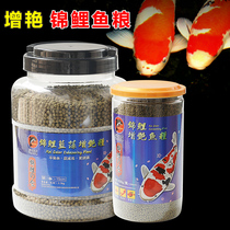 Dolphin koi cyanobacteria increase food dolphin koi fish feed koi grow fish grow fish