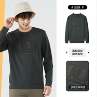 Серый зеленый [ремесла изобретательности]