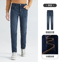 Фиолетовый синий