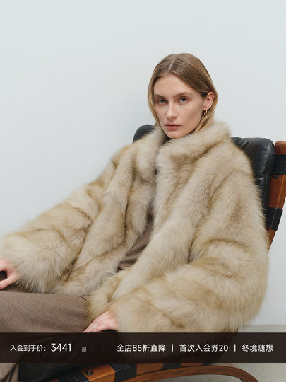 MSBEAST saga crown fox fur handmade smudge-dyed stand-collar silhouette fur jacket丨Hazy Wonderful Idea