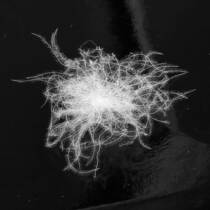 Bulk water washed down 90 ash duck down jacket duvet filler down raw material