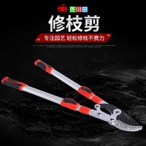 Zokugawa Athleta 8180 telescopic pruned pruned with new coarse branch cut vigorously cut gardening fruit tree cut large opening stainless steel cut