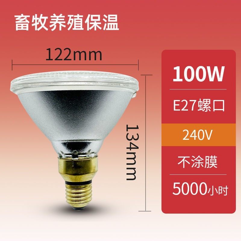 General Electric GE Infrared Light Bubble PAR 38100W Farm Spot Light Light Thick Glass