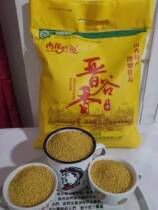 Shanxi Lvliang Xingxian specialty mountain flowers romantic organic dry work Shanxi Millet Jingu No 21 Millet bagged 5 pounds