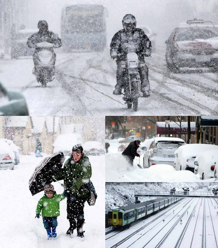 Pantalon collant jeunesse 9801 9801-2 en coton - Ref 774687 Image 42