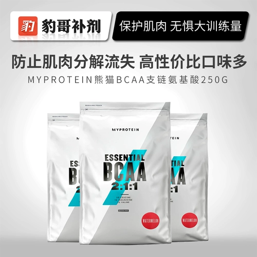 Леопардовый брат Панда Мипротеин BCAA разветвленная цепь аминокислотная приспособленность мышечная пропаганда, пропаганда, выздоровление