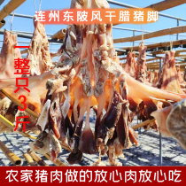 Lianzhou Dongpi cured pigs trotters salty and authentic cured pigs trotters a whole pigs trotters dried and fresh weighing 3 pounds