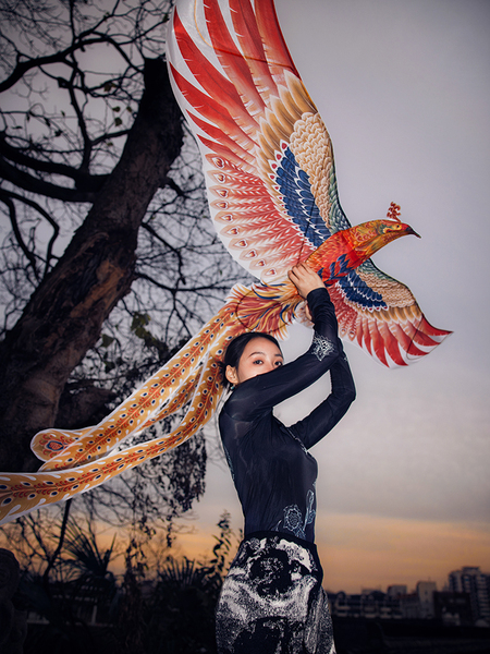 Handmade Creation of Wang Phoenix Non-Heritage Kite Handmade Kite Ornament Decoration Weifang Traditional Shayan Professional Skeleton Large