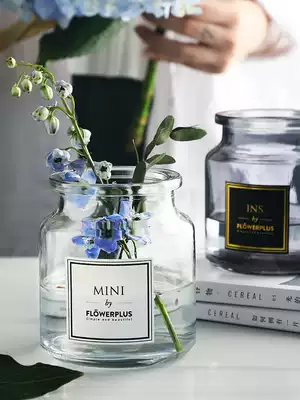 Nordic small glass vase mini wide mouth bottle countertop decoration hydroponic flower art home decoration