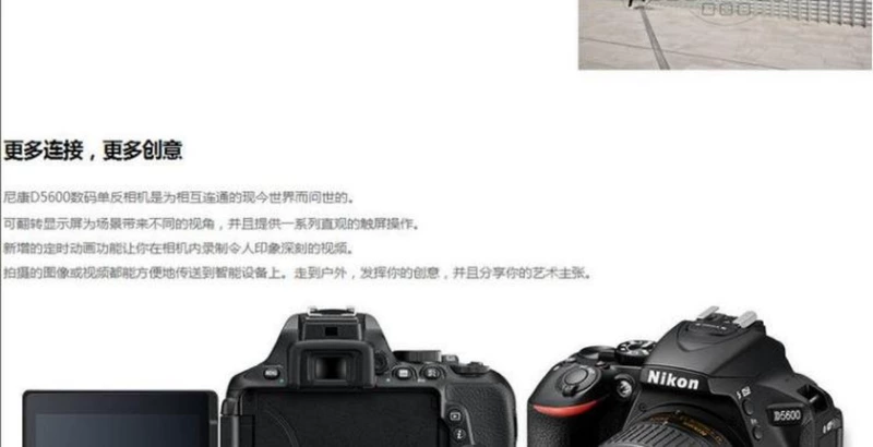 Máy ảnh DSLR độc lập với máy ảnh DSLR / Nikon D5600 không có ống kính Bảo hành toàn quốc - SLR kỹ thuật số chuyên nghiệp