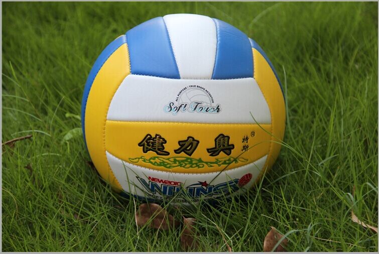 Ballon de volley - Ref 2011767 Image 3