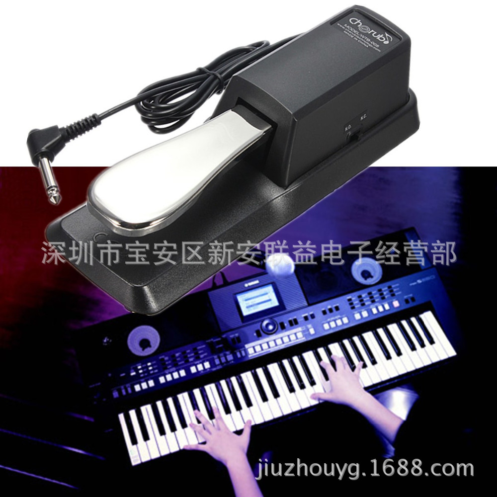  Small Angel CHERUB WTB-005 PIANO DUCAL PEDAL ELECTRONIC ORGAN ELECTRONIC ORGAN SINGLE PEDAL