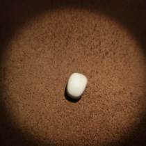 Qing Dynasty old snail beautiful beads from Tibetan area. Qing dynasty old snail beautiful beads with one bead. Old rosary beads accessories.