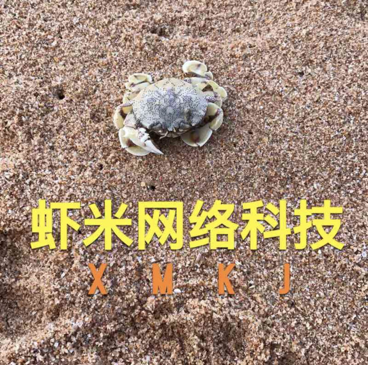 虾米科技的LOGO