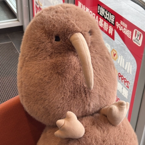 Большая кукла, подушка, птицы, плюшевая милая игрушка, подарок на день рождения