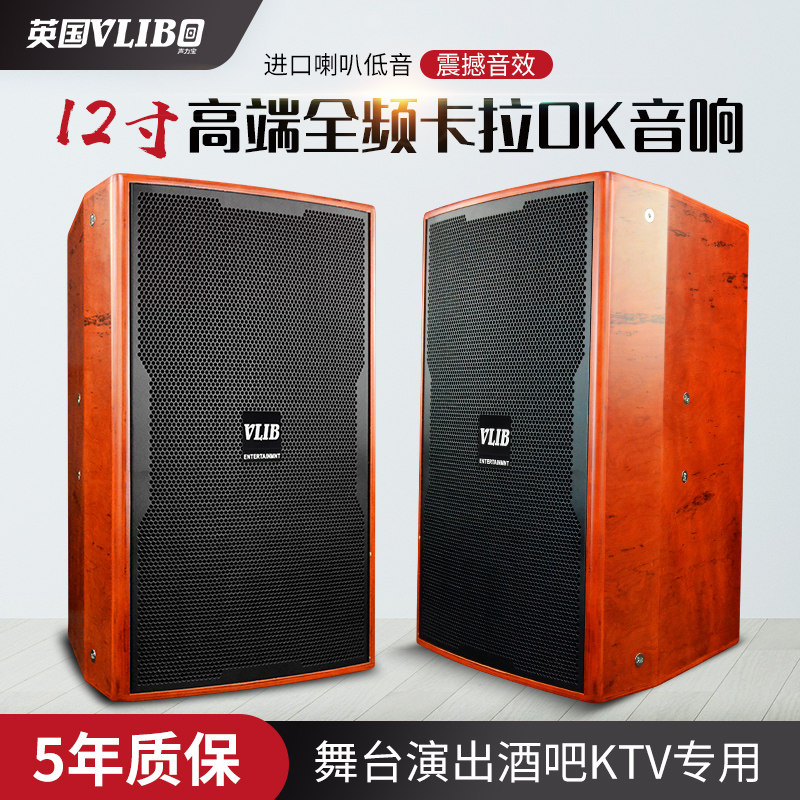 British VLlBO home 10-inch conference speaker outdoor high-power stage performance wedding 12-inch professional audio