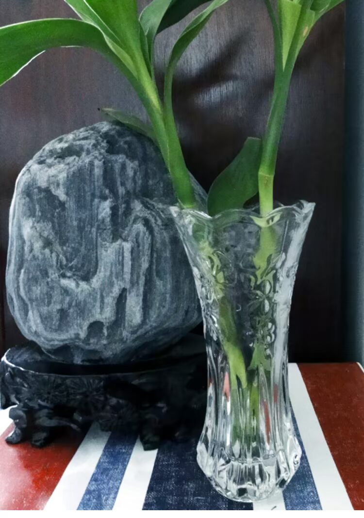 Chất lượng xác thực chất lượng cao dày dày 5 mm thủy tinh phẳng thủy canh bình thủy canh - Vase / Bồn hoa & Kệ chau trong cay
