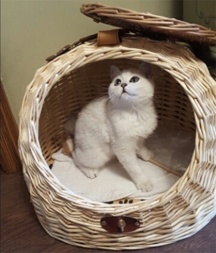 Net red portable cat litter rattan four seasons universal semi-closed portable summer cat house house puppy litter can be dismantled and washed