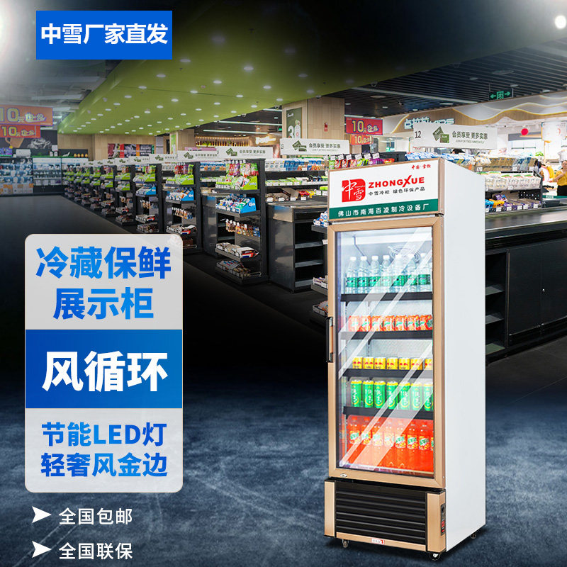 Zhongxue refrigerated display cabinet commercial single-door freezer drink freezer fresh-keeping cabinet beverage cabinet vertical beer straight air-cooled