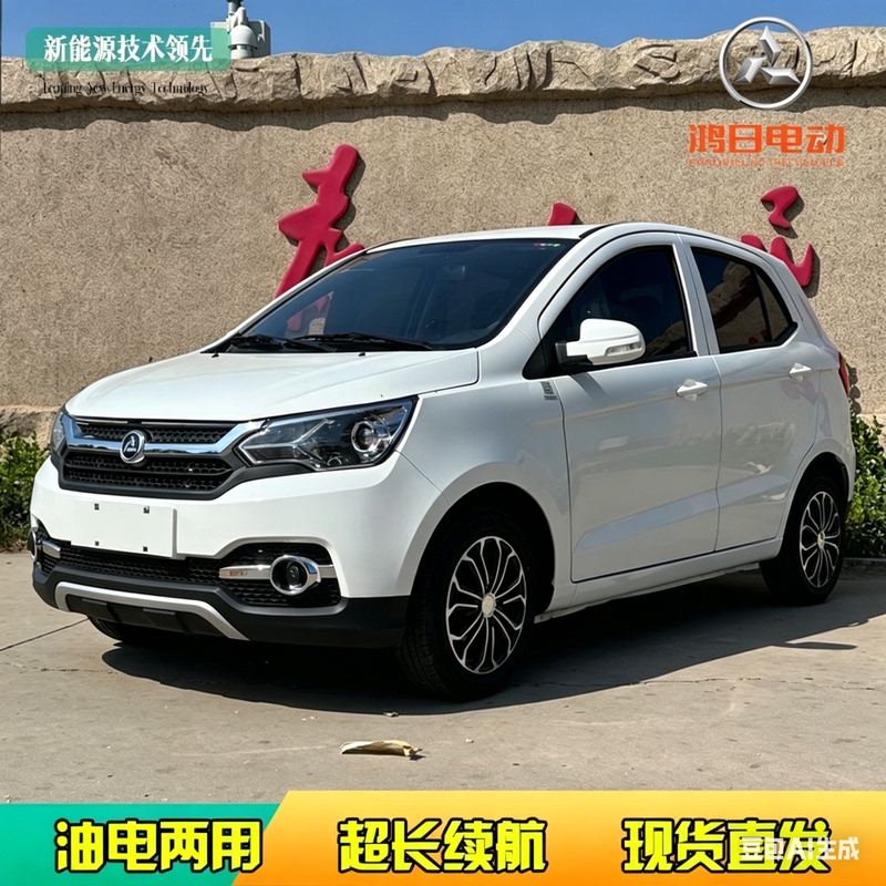 New Hongri S1 Electric Four-Wheeler for Home Use, Adult New Energy Vehicle, Fully Enclosed Oil-Electric Lithium Battery Car
