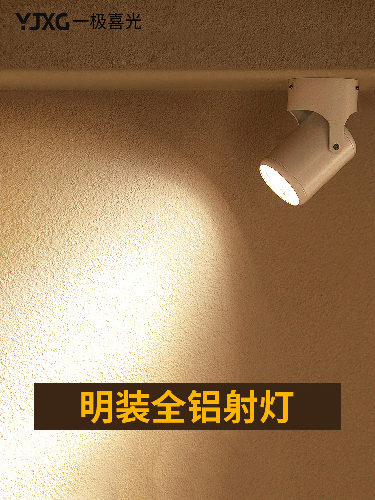 Surface mounted spot light led universal clothing store exhibition hall COBlogo background wall photo lamp Ceiling spot light