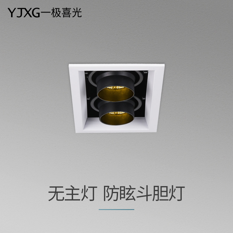 cob daring light double-headed led embedded grille light without main light lighting shop square spotlight three-headed daring light