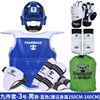 9-piece set = no. 3 blue + (mask helmet + hand guard + foot guard) 