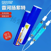  220v 380v 3KWuv Curing lamp UV curing mercury lamp High pressure mercury lamp UV lamp Ultraviolet UV lamp