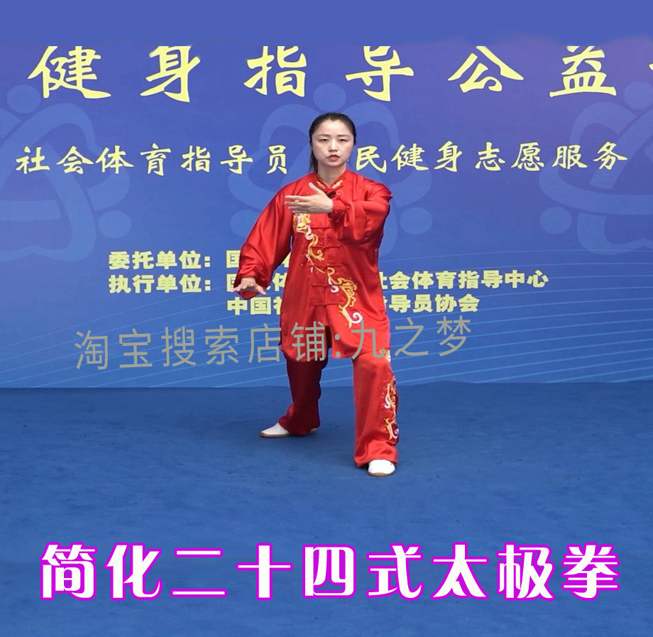 武當太極拳13式教學三豐太極十三式動作分解DVD教程人民郵電出版社