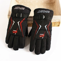 S5-Fashion Personal Orange