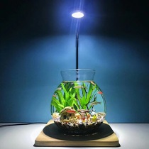 LED Spotlight Water Communal Water Grass Fish Tank Microscape Tonic light moss Multi-meat gardening Pets plant growth lamp