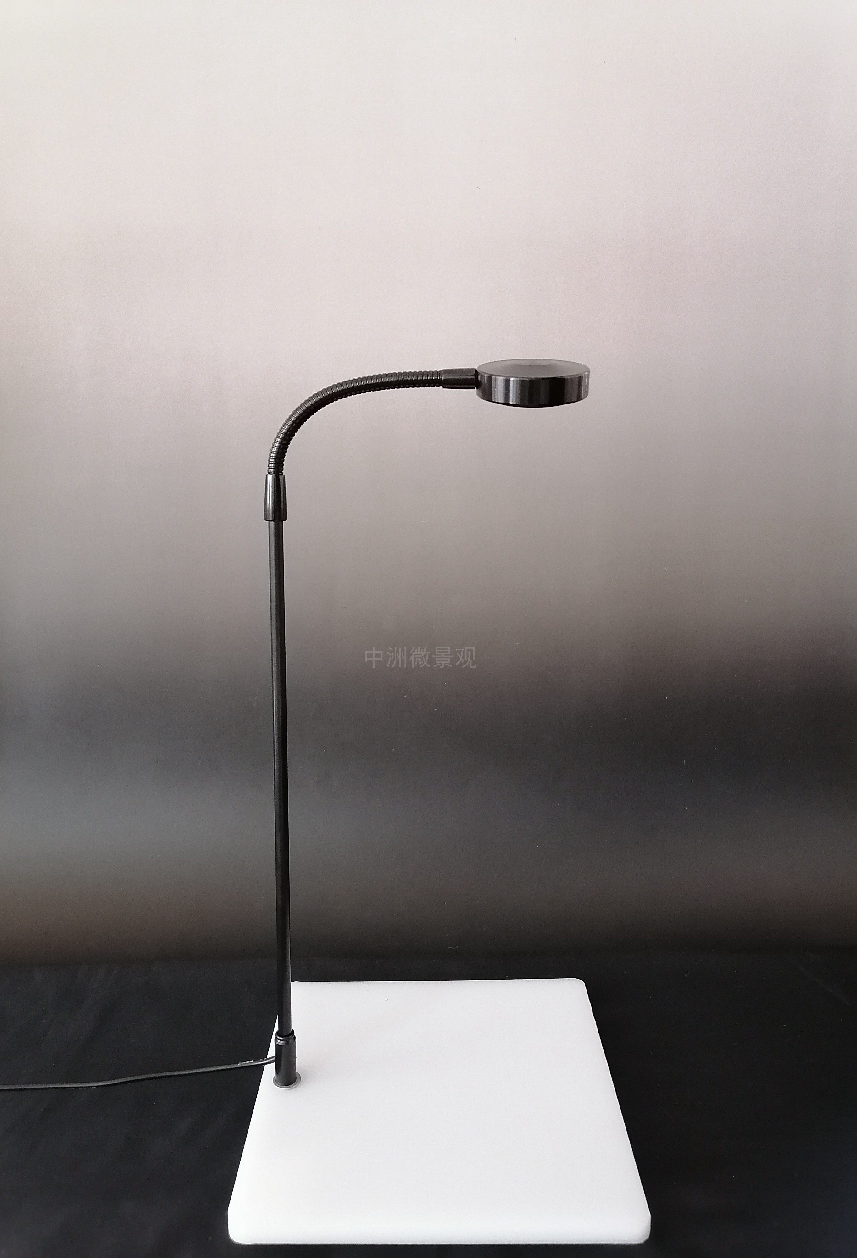 Aquatic fish tank Horticulture moss Multi-flesh water Grass plant growth Micro-view Tonic Light Lamp Bamboo Board Waterproof Base Lamp