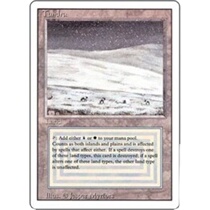 5 dogs tcg]Magic tundra tundra English sp