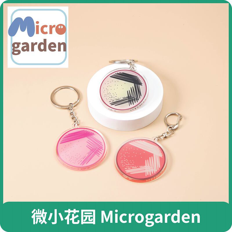 Original Scientific Research and Cultural Creation Master's and Doctoral Degree Microbial Agar Plate Four-Zone Inoculation Single Colony Keychain Original Scientific Research and Cultural Creation Master's and Doctoral Degree Microbial Agar Plate Four-Zone Inoculation Single Colony Keychain