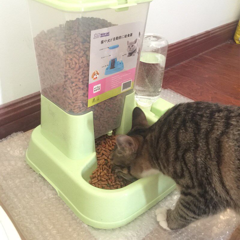 Cat automatic cat feeder cat supplies dog drinker cat bowl dog bowl double bowl food tray feeding water dog supplies