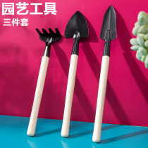 Mini Succulent Plant Garden Loose Earth Tool Set Bonsai Flower Care Flower Spatula Flower Rattan 3 Piece Set