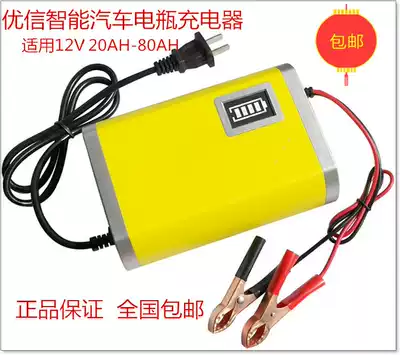 Youxin smart car battery charger 12V battery repair battery 12V charger 6A